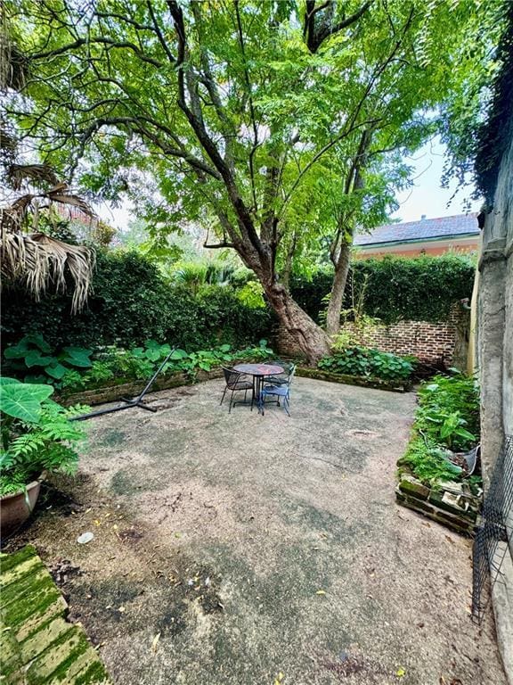 view of yard with a patio