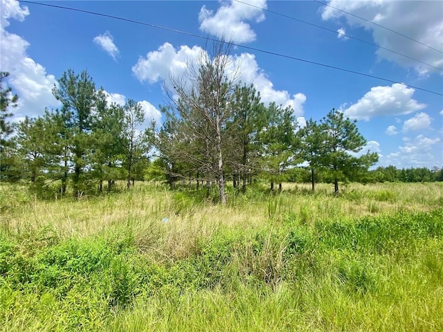 57527 Sam Mizell Rd, Bogalusa LA, 70427 land for sale