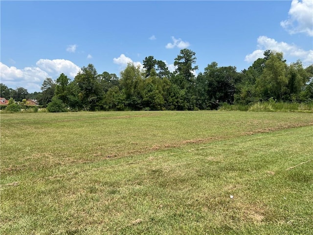 1530 Fremaux Ave, Shortcut Highway Avenue Slidell, LA 70458 - photo 1
