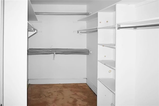 view of walk in closet