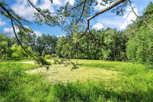 view of nature