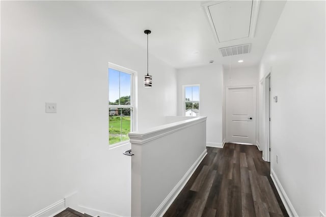 hall with dark hardwood / wood-style floors