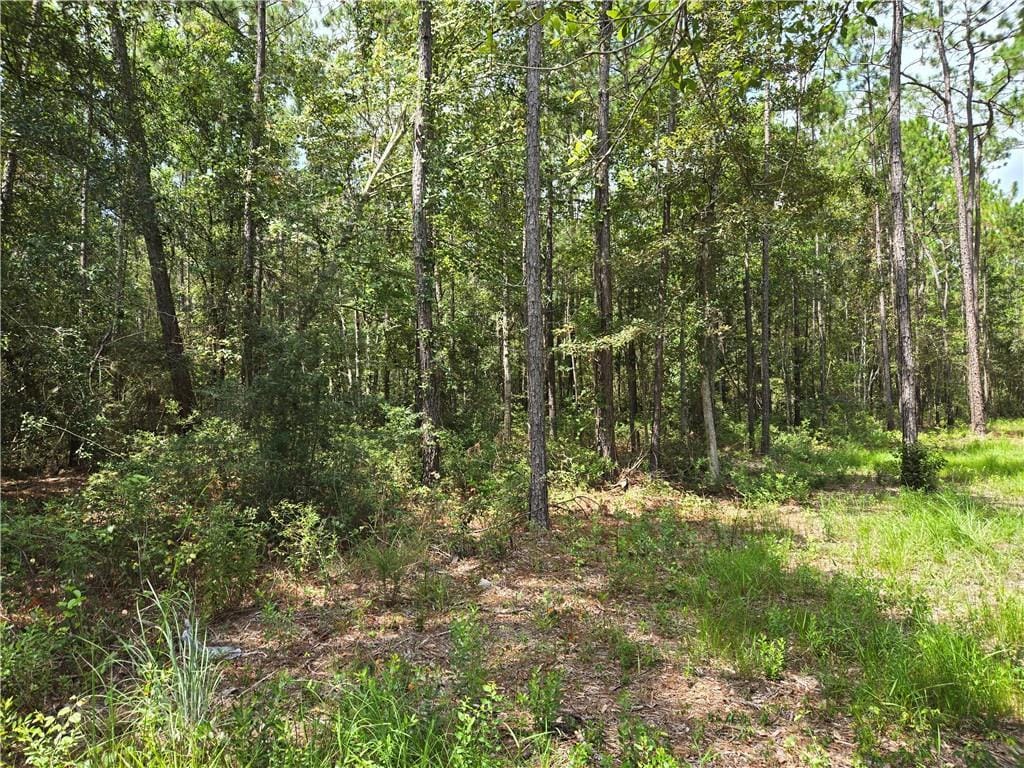 0 Fish Hatchery Rd, Lacombe, LA 70445