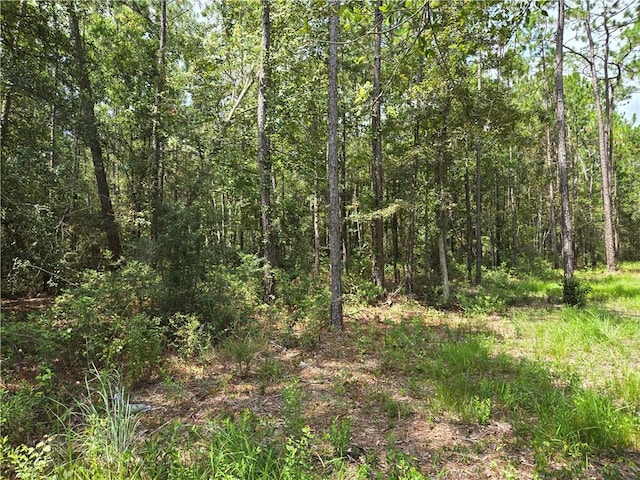 0 Fish Hatchery Rd, Lacombe, LA 70445