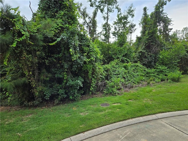 Listing photo 3 for Highland Bluff Dr, Slidell LA 70461