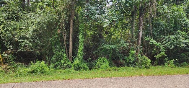 33 Ponchitolawa Dr, Covington, LA 70433