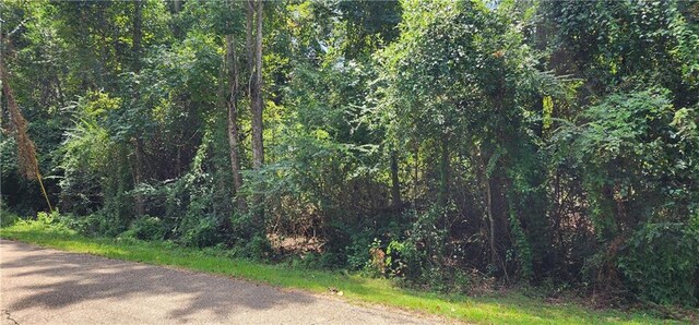 33 Ponchitolawa Dr, Covington, LA 70433