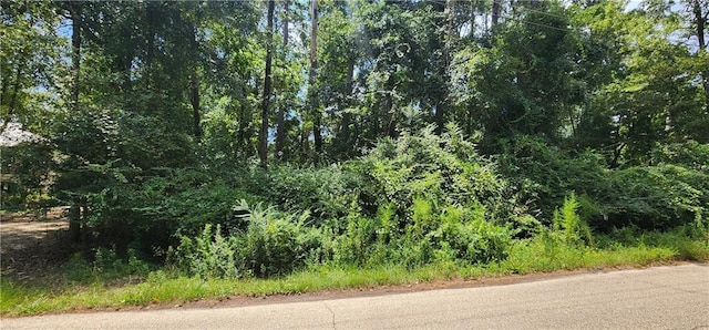 32 Ponchitolawa Dr, Covington LA, 70433 land for sale