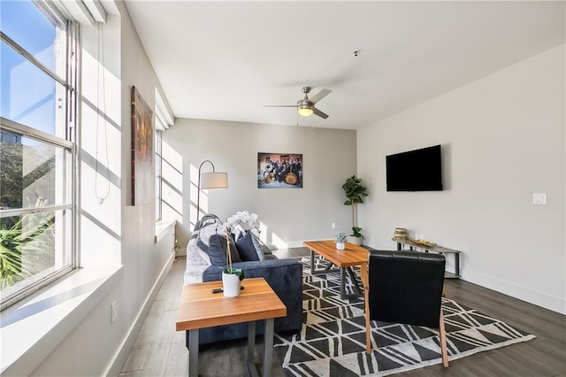 living room with ceiling fan and hardwood / wood-style flooring