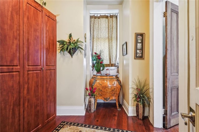 hall with dark hardwood / wood-style flooring