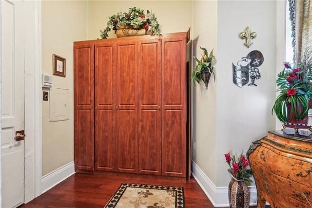 foyer entrance with dark wood-type flooring