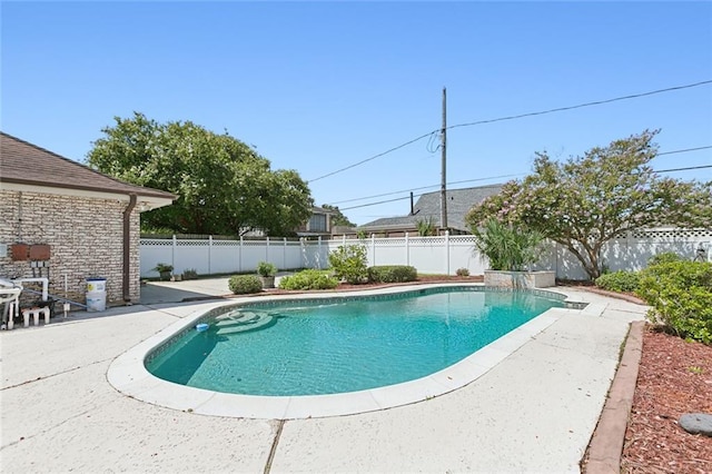 view of pool with a patio area