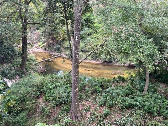 view of nature with a water view