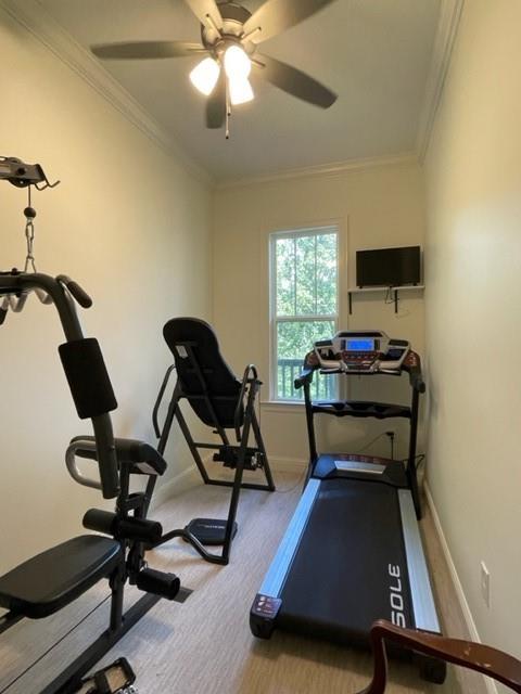 workout area with crown molding and ceiling fan