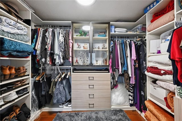 spacious closet featuring dark wood-type flooring