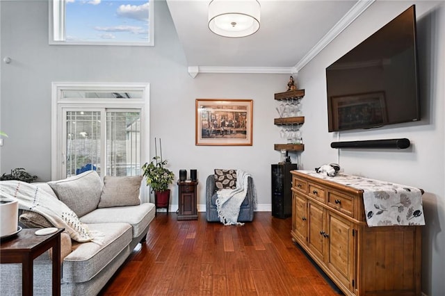 interior space featuring crown molding, a healthy amount of sunlight, dark hardwood / wood-style floors, and lofted ceiling