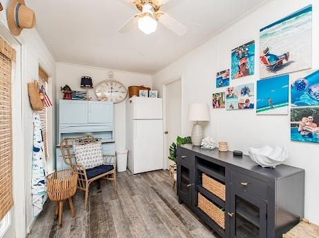 office with ceiling fan and hardwood / wood-style floors