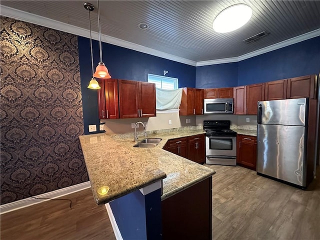 kitchen featuring a peninsula, appliances with stainless steel finishes, pendant lighting, and a sink