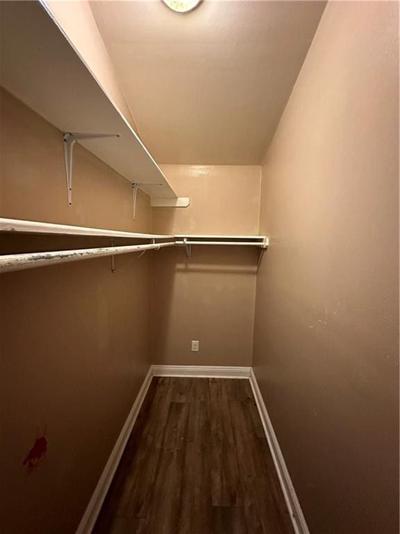 spacious closet featuring vaulted ceiling and dark wood-type flooring