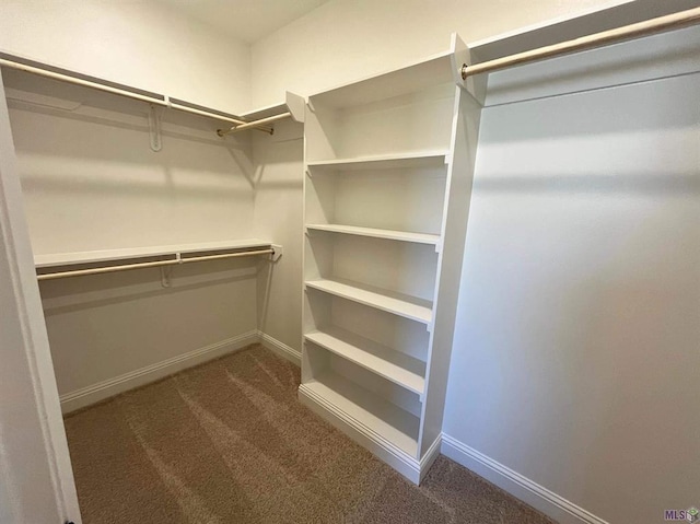 walk in closet with dark carpet