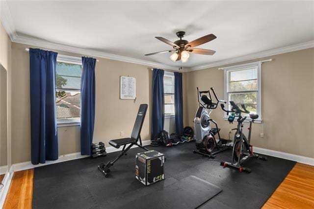 exercise area with ornamental molding, a wealth of natural light, ceiling fan, and hardwood / wood-style floors