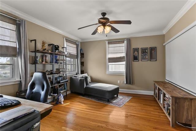 office with ceiling fan, hardwood / wood-style floors, and crown molding