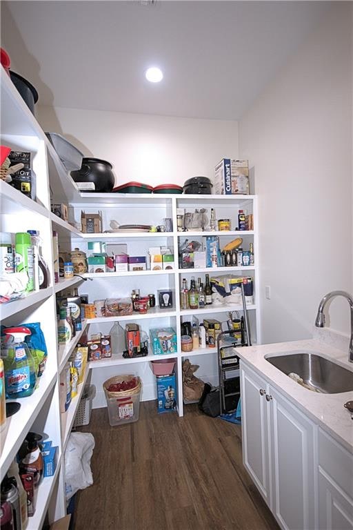 pantry with sink