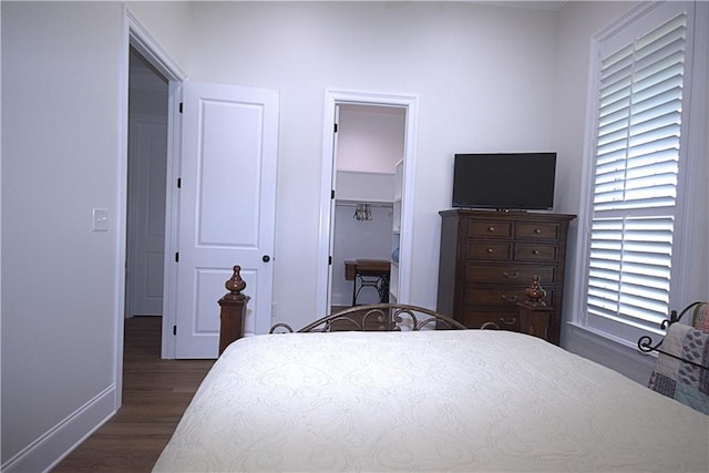 bedroom with a spacious closet, multiple windows, a closet, and wood-type flooring