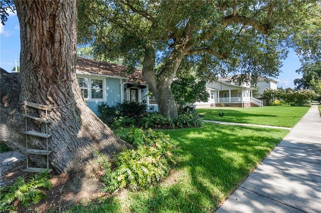 view of front of house with a front yard