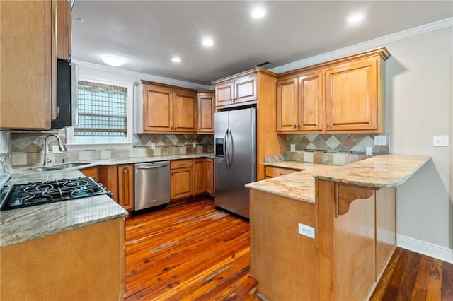 kitchen featuring sink, light stone counters, dark hardwood / wood-style floors, appliances with stainless steel finishes, and backsplash