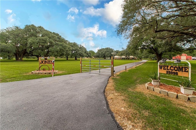 view of home's community with a lawn