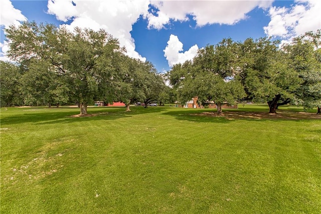 view of community with a yard