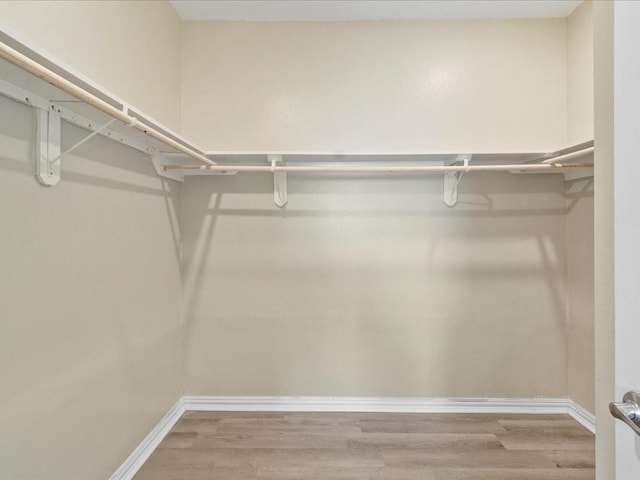 spacious closet with wood-type flooring