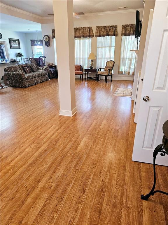 669 Lake Iberville Ct, Ponchatoula, LA 70454 - living area with crown molding and light wood-style floors