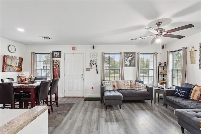 living room featuring ceiling fan, a wealth of natural light, and hardwood / wood-style floors