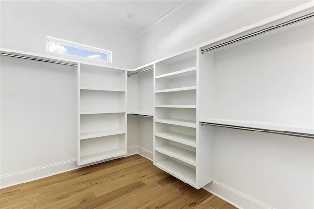 spacious closet featuring light wood-type flooring