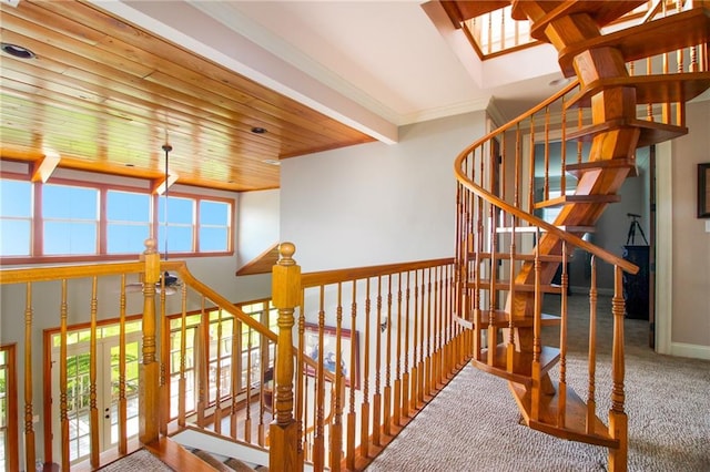 corridor with carpet flooring, french doors, plenty of natural light, and wood ceiling