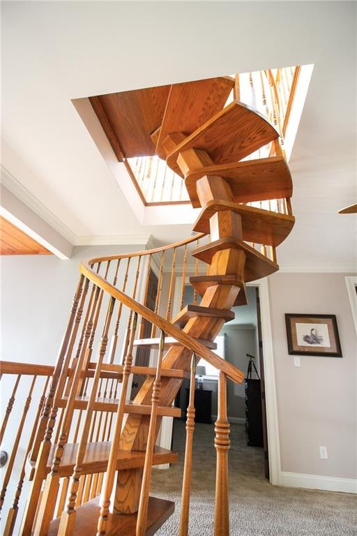 staircase with crown molding and carpet floors