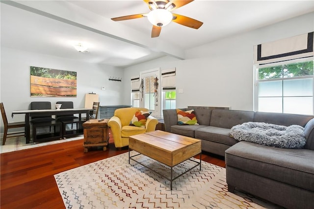 living room featuring hardwood / wood-style flooring, ceiling fan, and beam ceiling