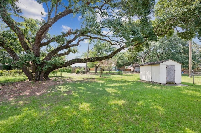 view of yard with a storage shed