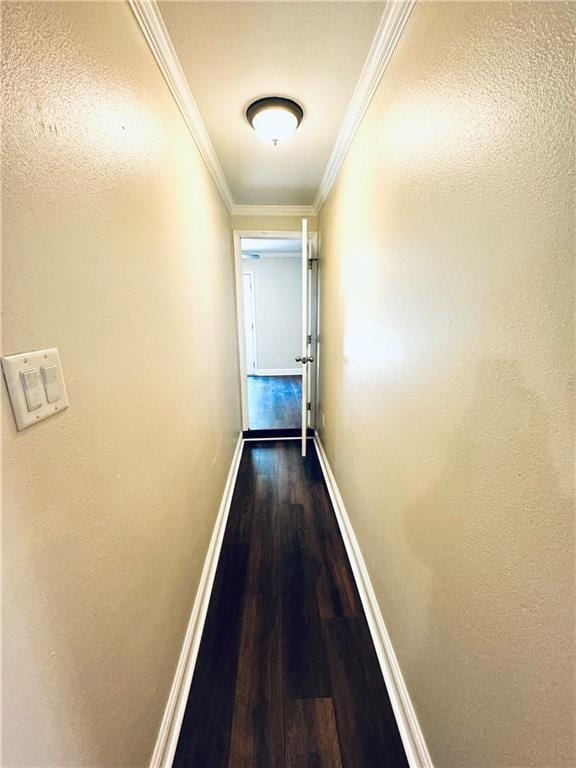 hallway with ornamental molding and hardwood / wood-style floors