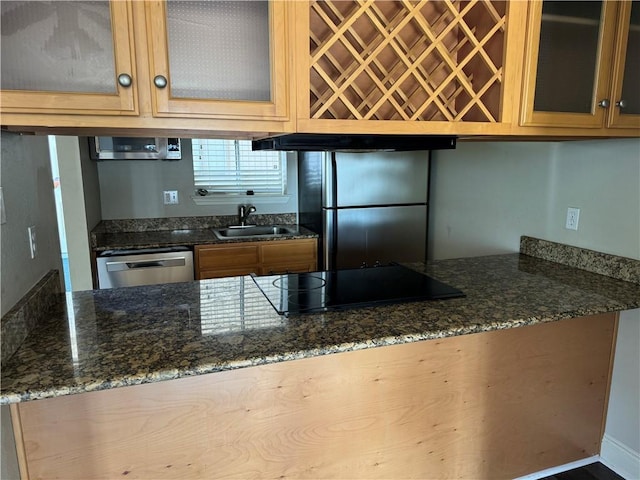 kitchen featuring sink, stainless steel appliances, and stone counters