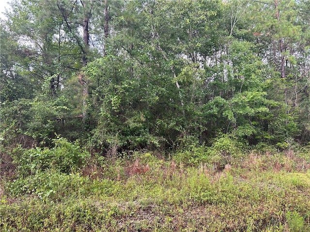 Choctaw Dr, Bay Saint Louis MS, 39520 land for sale