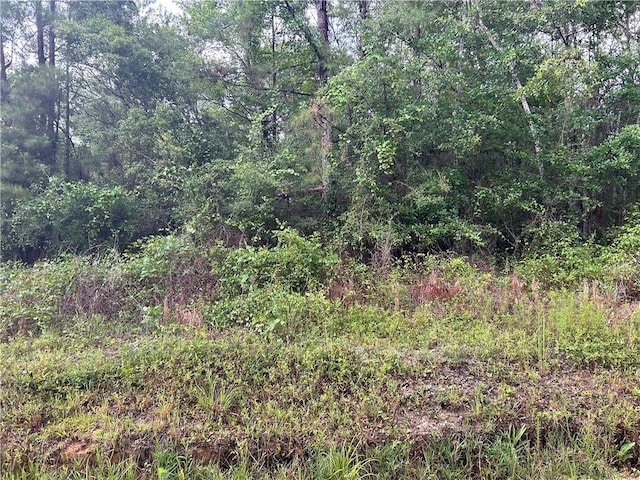 Choctaw Dr, Bay Saint Louis, MS 39520