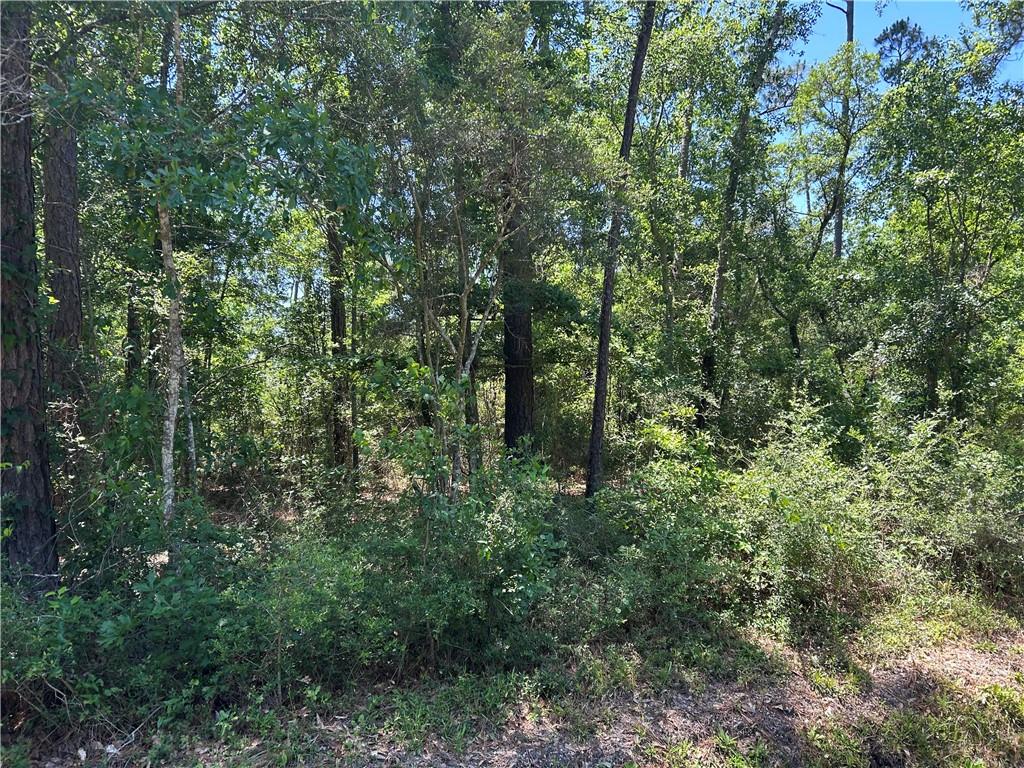 0 Seventh St, Bay Saint Louis, MS 39520