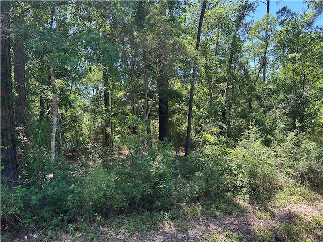 Fifth St, Bay Saint Louis MS, 39520 land for sale