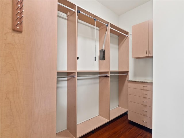 spacious closet featuring dark hardwood / wood-style floors