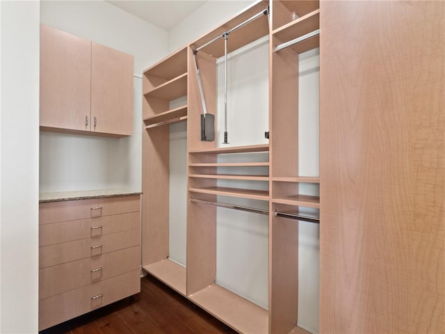 walk in closet featuring dark wood-type flooring