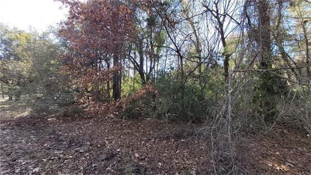 Alford Ln, Bogalusa LA, 70427 land for sale