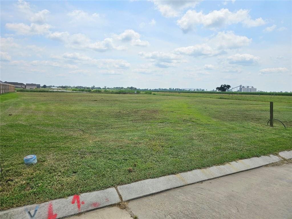 2505 Bellevue Lakes St, Paulina, LA 70763